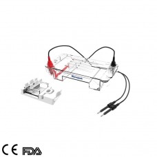 Horizontal Electrophoresis Cell, GEP-HH-SUB01